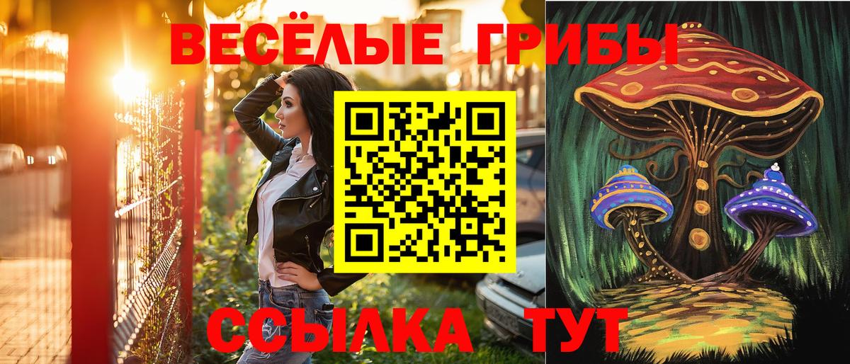 Псилоцибиновые грибы GOLDEN TEACHER Жуковский